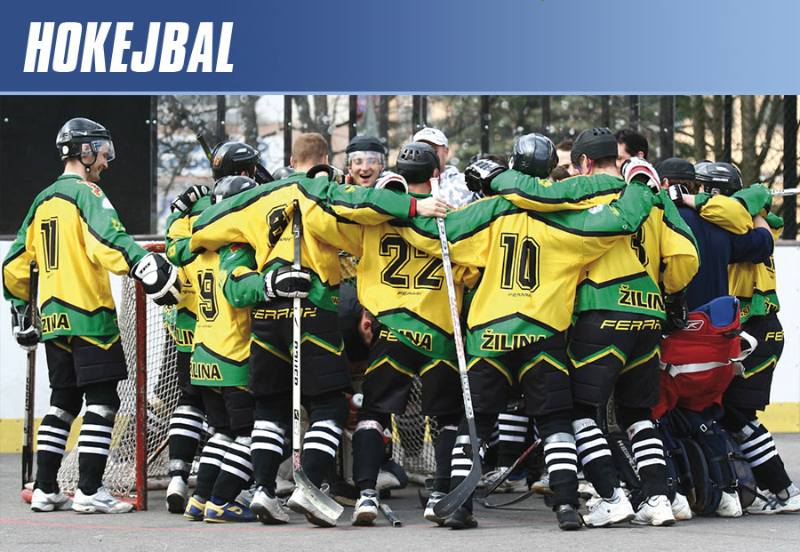 Hokejbal